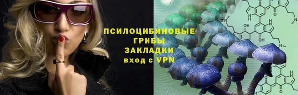 СК Зеленодольск
