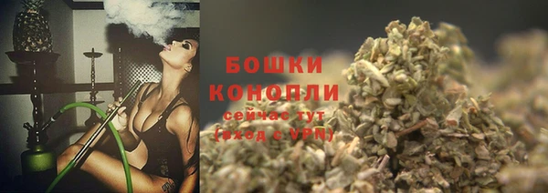 индика Зерноград