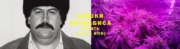 индика Александровское