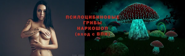 индика Александровское