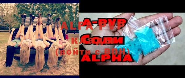 индика Зерноград