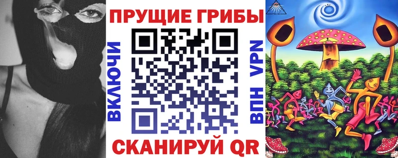 Псилоцибиновые грибы Psilocybe  Купить где  Ликино-Дулёво 
